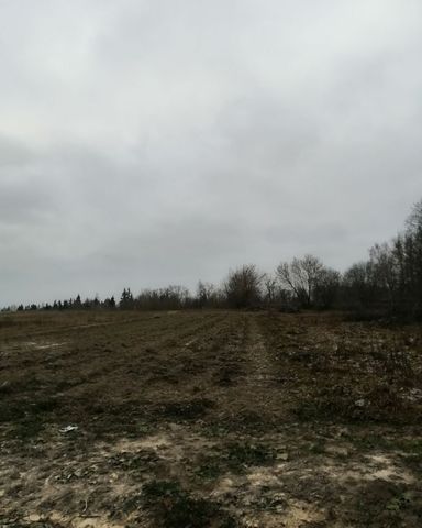 земля д Шаталово Шаталовское сельское поселение фото