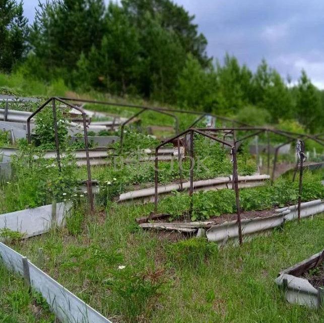 земля г Красноярск городской округ Красноярск, СНТ Ветеран-6 фото 7