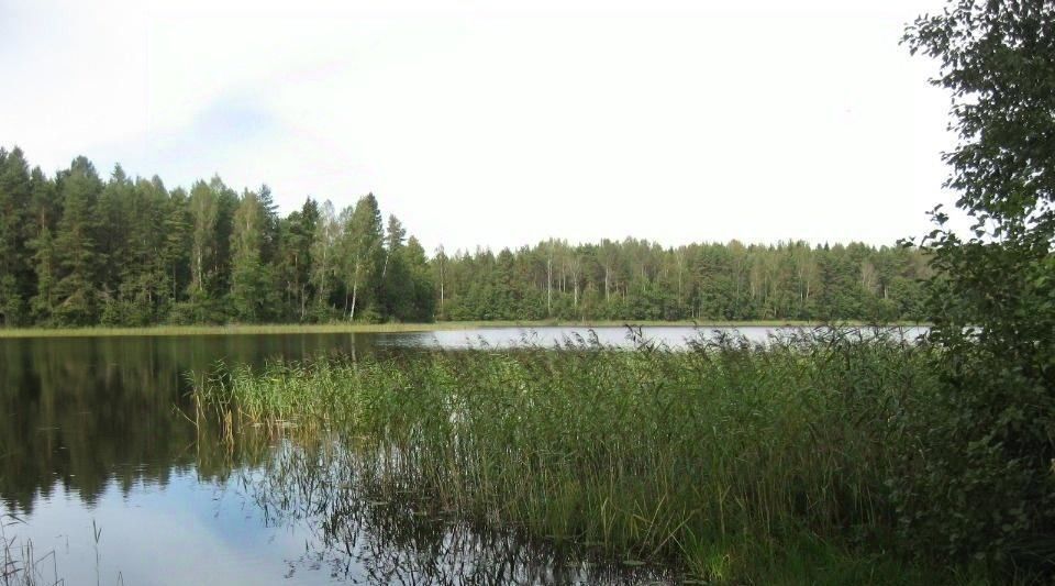 земля р-н Западнодвинский г Западная Двина д Глубокое фото 6