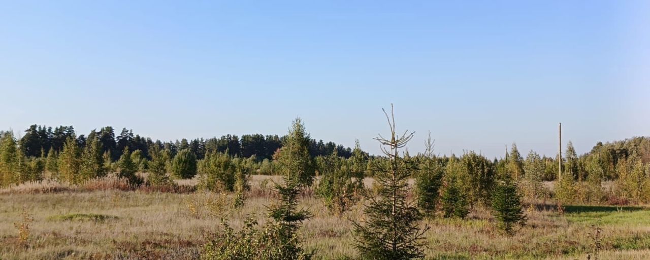 земля р-н Гатчинский д Лампово Дружногорское городское поселение, некоммерческое партнёрство Зяблики, дачное, Сиверский фото 4