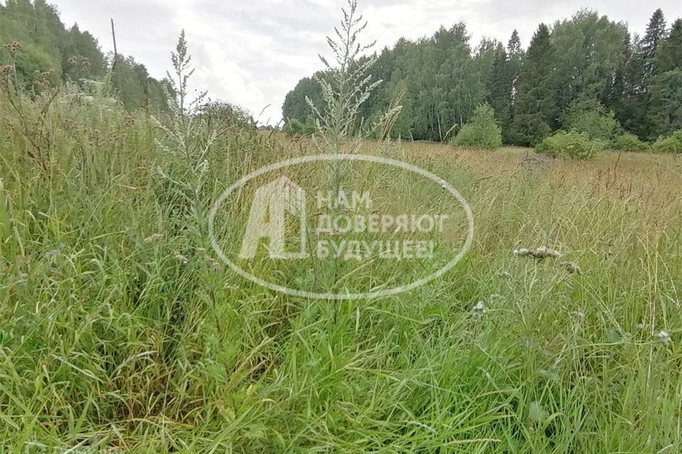 земля Добрянский городской округ, СПК Уральская Нива фото 2