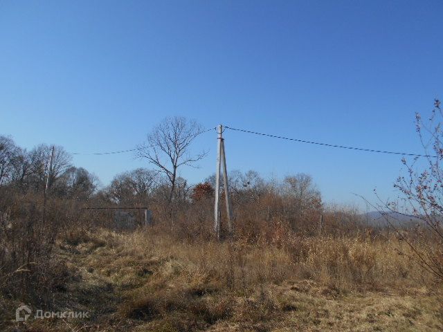 земля р-н Партизанский село Золотая Долина фото 1