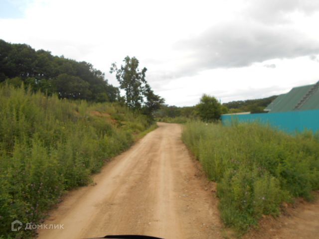 земля р-н Партизанский село Голубовка фото 1