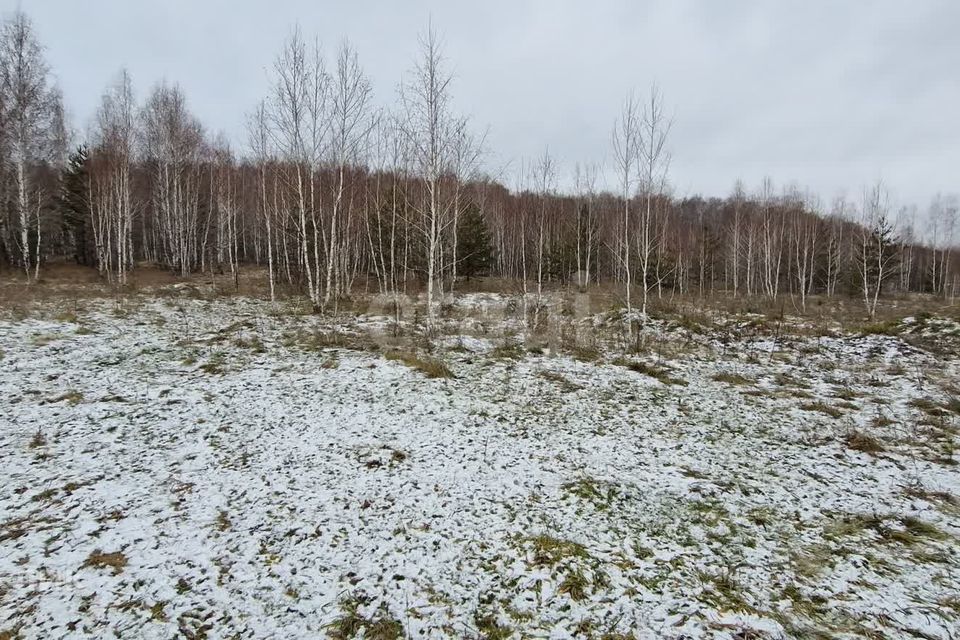 земля р-н Чебаркульский с Травники ул Верхняя фото 3