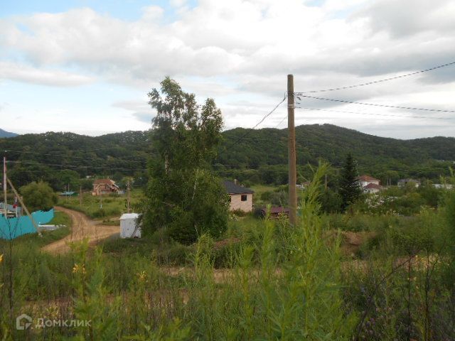 земля р-н Партизанский село Голубовка фото 3