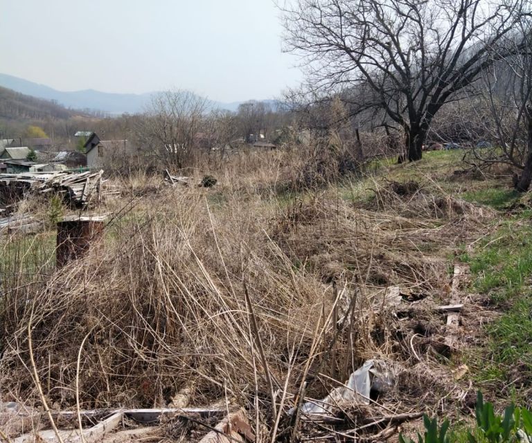 земля р-н Партизанский село Голубовка фото 2