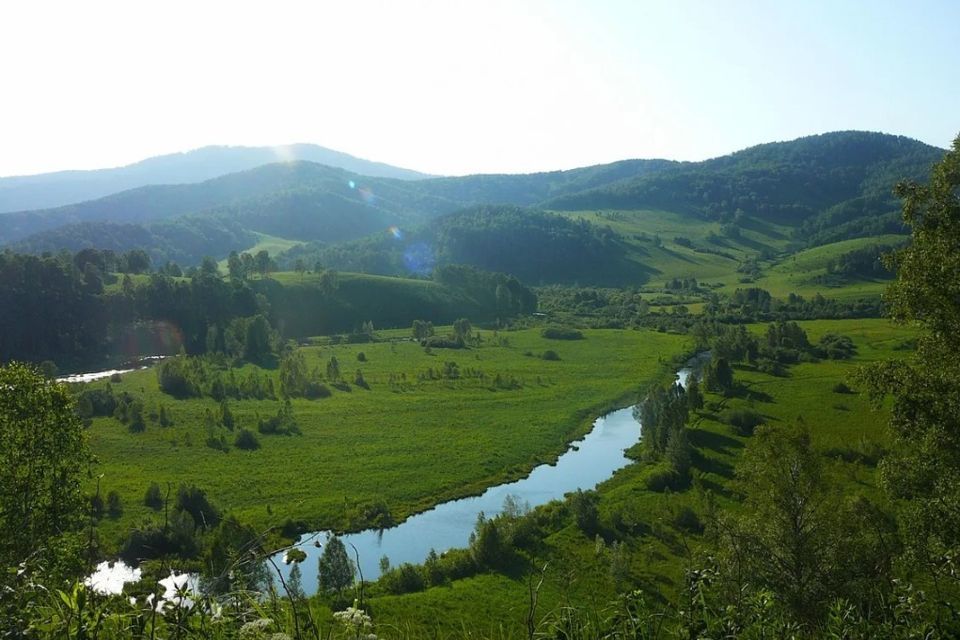 дом р-н Чарышский село Малый Бащелак фото 6