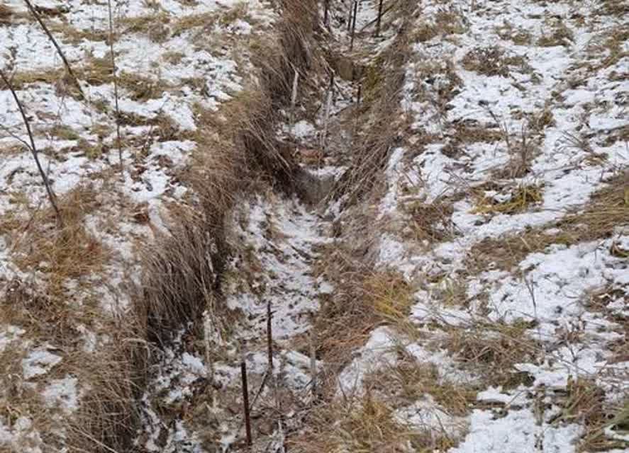 земля р-н Чебаркульский с Травники ул Верхняя фото 7