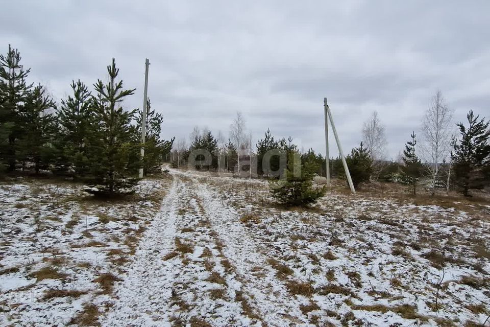 земля р-н Чебаркульский с Травники ул Верхняя фото 10