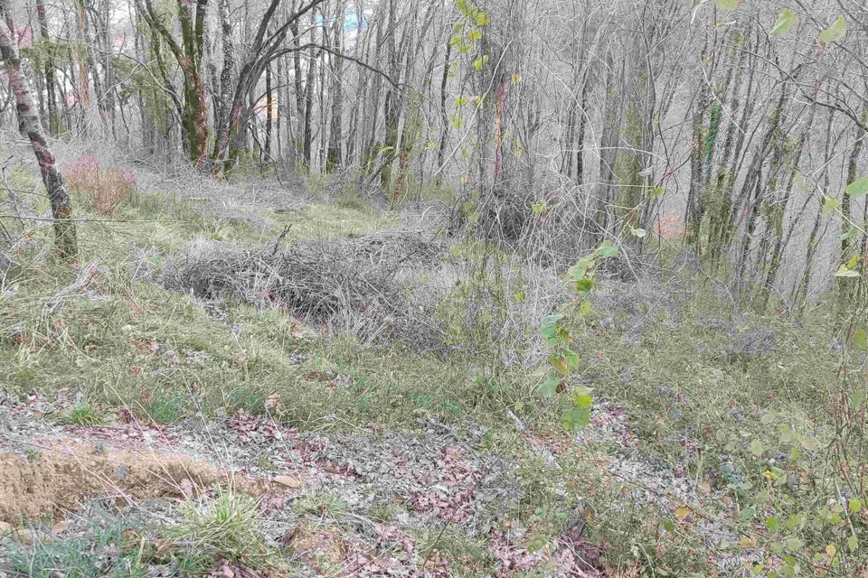 земля г Сочи с Краевско-Армянское городской округ Сочи, садовое товарищество Изыскатель фото 2