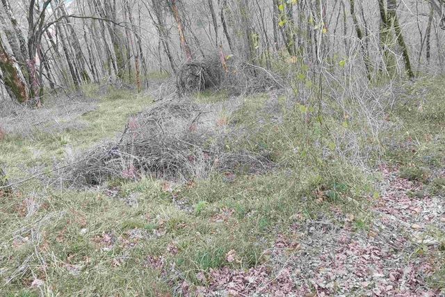 городской округ Сочи, садовое товарищество Изыскатель фото