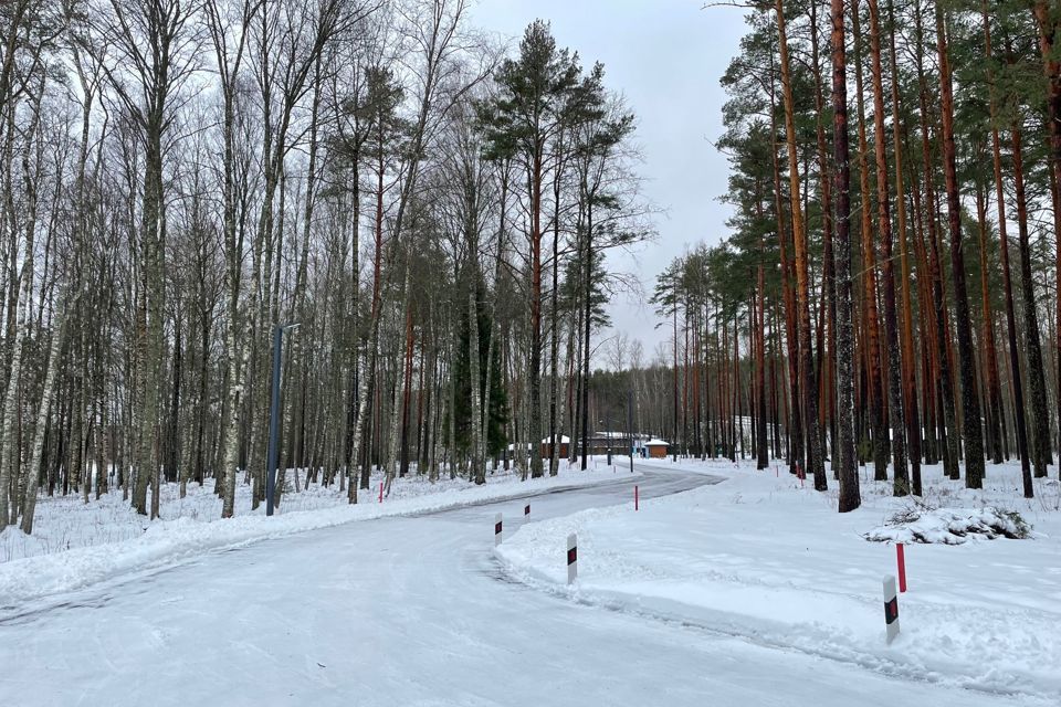 земля р-н Выборгский посёлок Овсяное фото 4