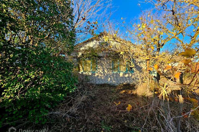 городской округ Махачкала, садовое товарищество Встреча, 93 фото