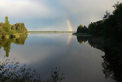 земля р-н Александровский деревня Мостищево фото 3