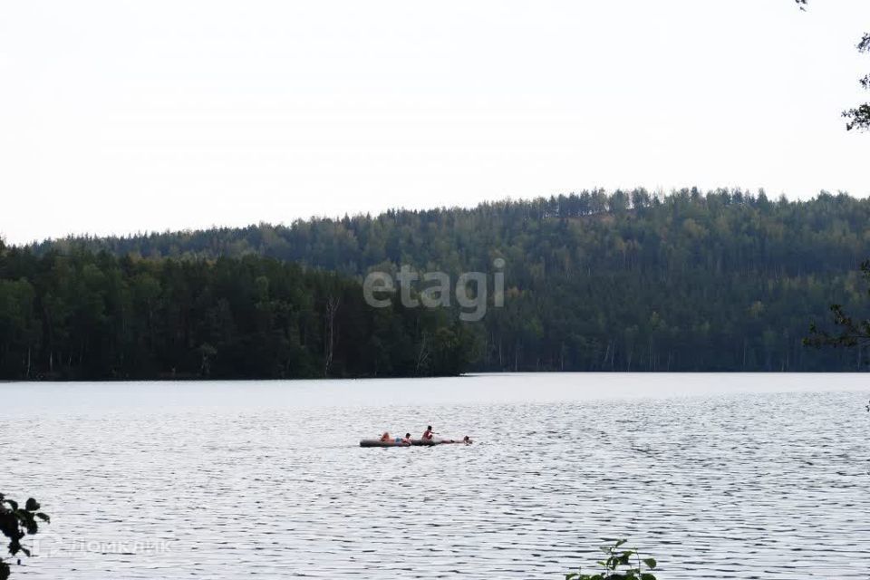 земля Карабашский городской округ, СНТ Русское поле фото 7