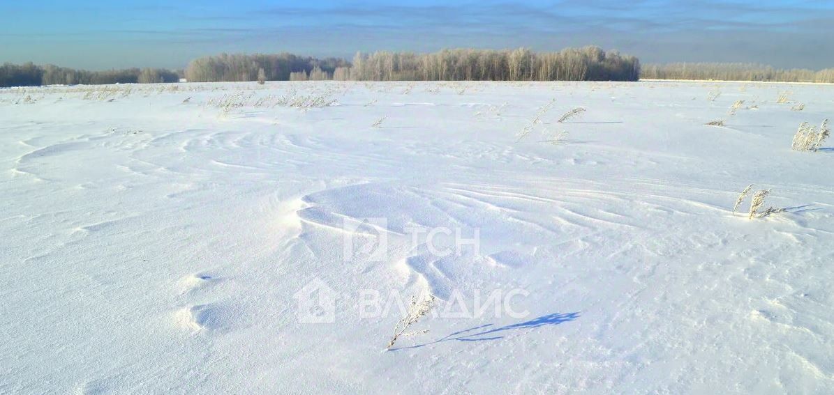 офис городской округ Раменский Гжельское с/пос фото 2