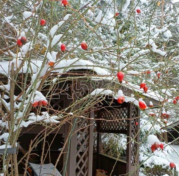 дом городской округ Красногорск с Николо-Урюпино ул Гагарина 50а фото 19