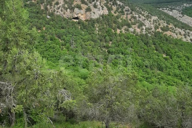 Балаклавский район, Балаклавский муниципальный округ фото