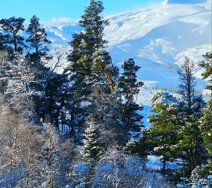 земля р-н Майкопский станица Абадзехская фото 2