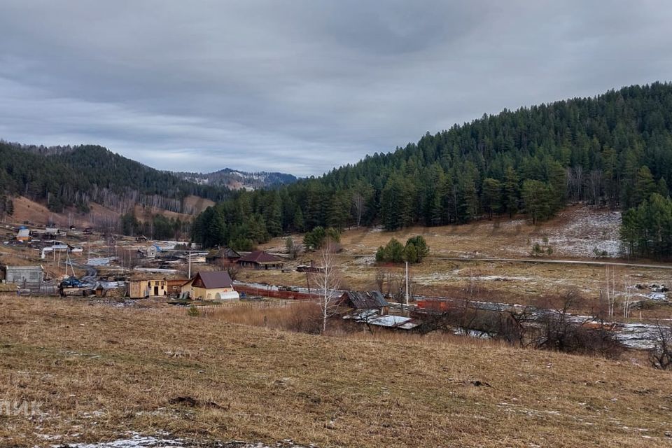 земля р-н Чемальский село Нижний Куюм фото 2