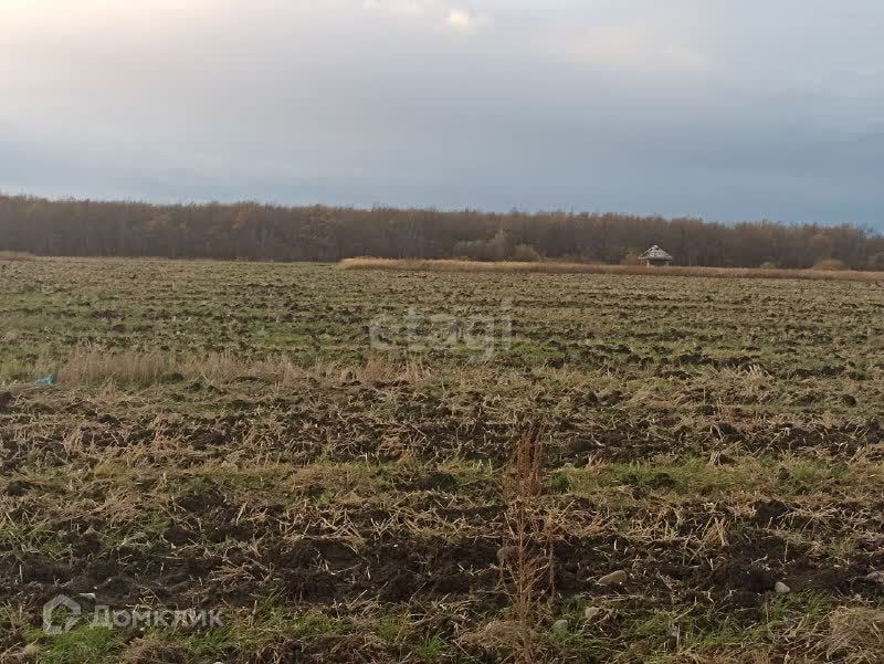 земля городской округ Майкоп, СДТ Надежда фото 2