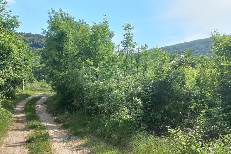 земля г Севастополь Балаклавский район, село Морозовка фото 4