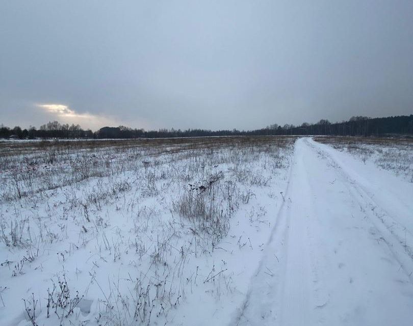 земля р-н Зеленодольский село Айша фото 3