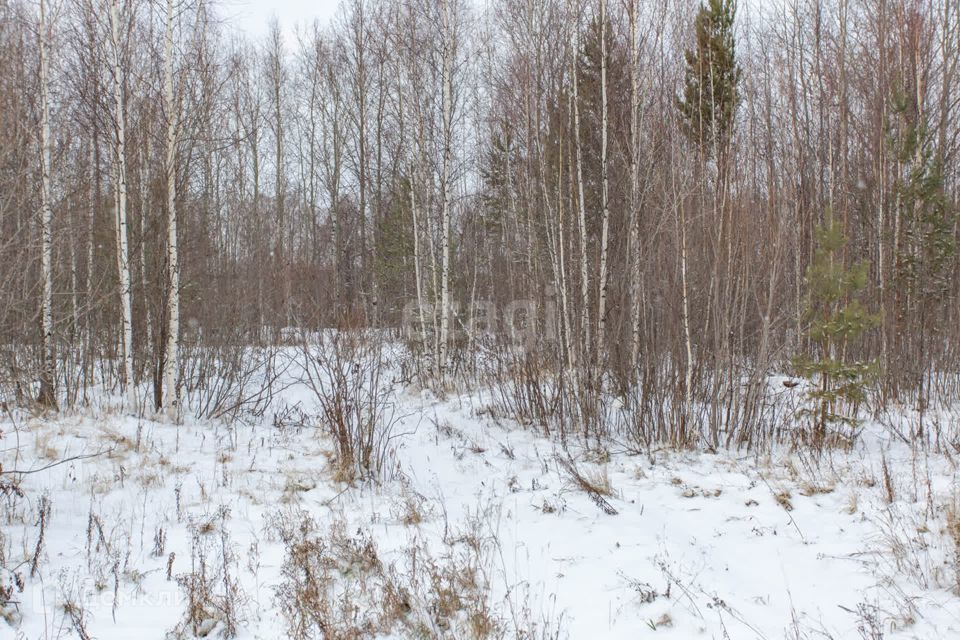 земля р-н Тобольский деревня Нижние Аремзяны фото 5