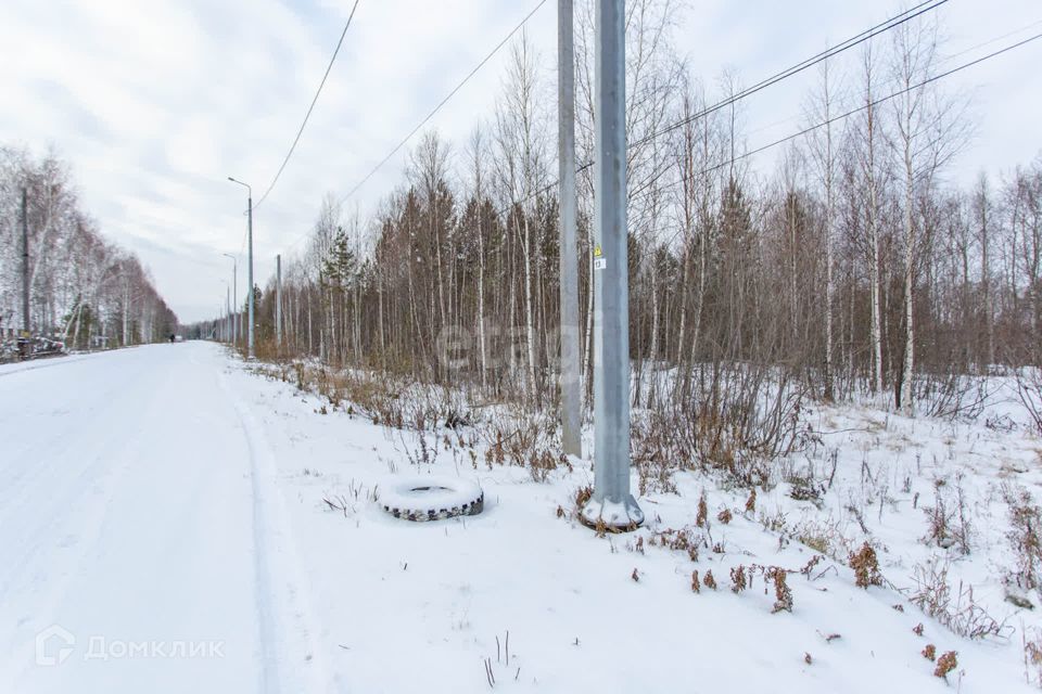 земля р-н Тобольский деревня Нижние Аремзяны фото 7