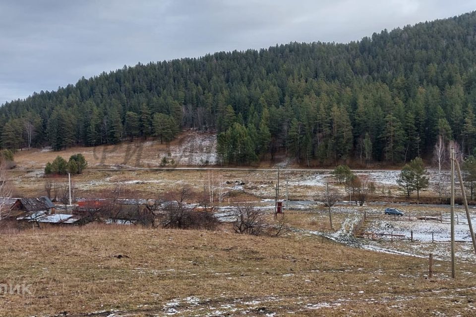 земля р-н Чемальский село Нижний Куюм фото 6