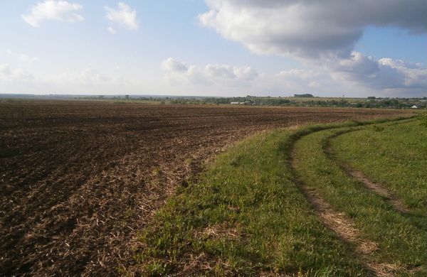 земля р-н Дмитровский с Бородино Бородинское сельское поселение, Дмитровск фото 1