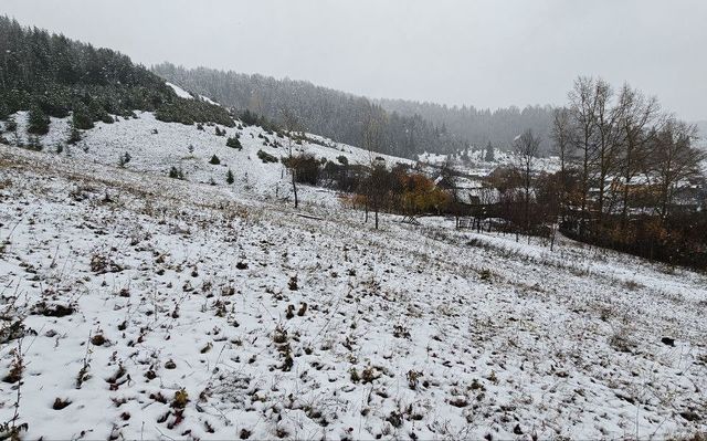 земля ул Нагорная Чайковский городской округ фото