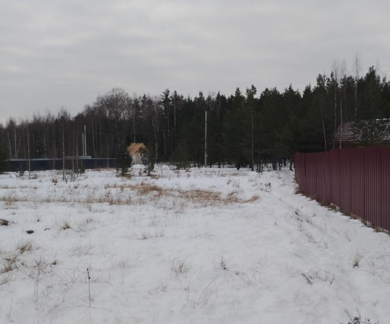 земля городской округ Нижний Новгород, сельский посёлок Берёзовая Пойма, улица Механизаторов фото 6