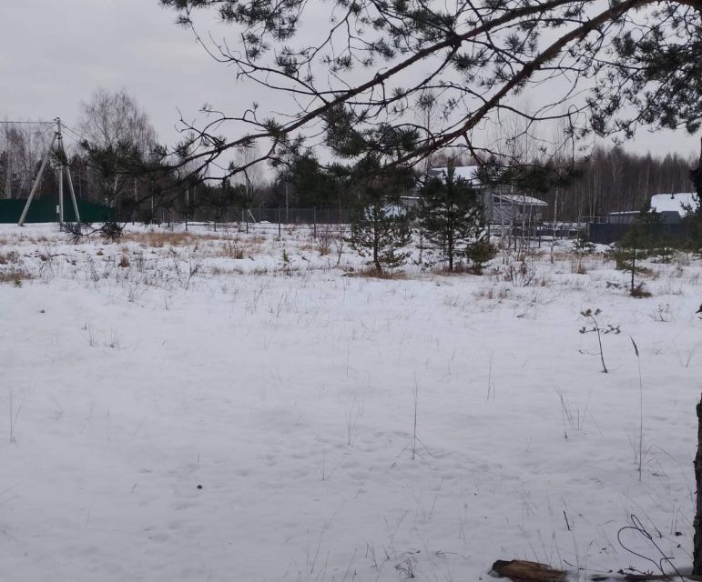 земля городской округ Нижний Новгород, сельский посёлок Берёзовая Пойма, улица Механизаторов фото 9