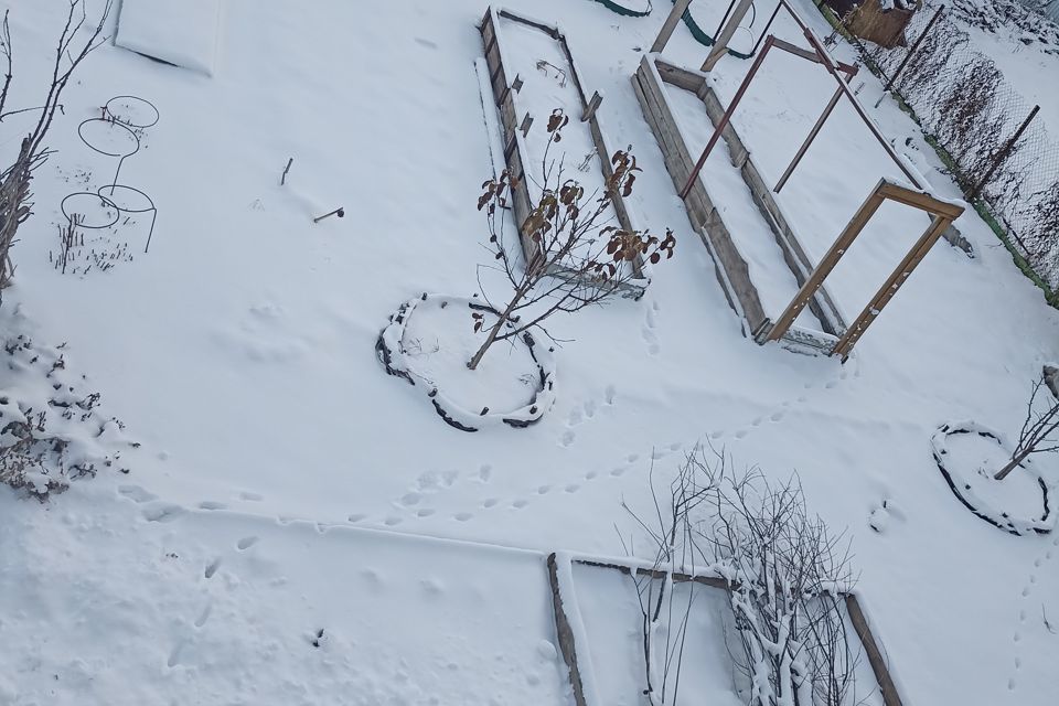 дом г Трехгорный тер Садоводческое товарищество Строитель городской округ Магнитогорск, сад № 4, 253/1 фото 5