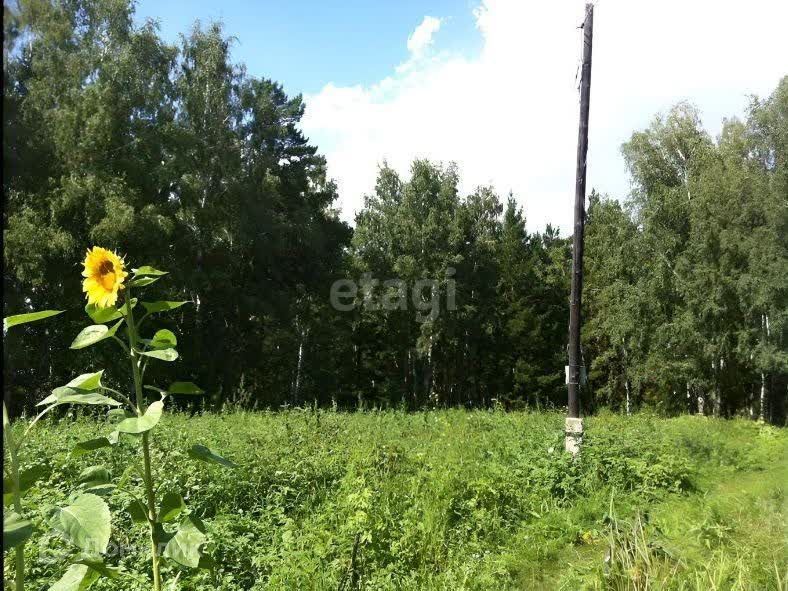 земля г Бердск снт Вега-3 городской округ Бердск, 1043 фото 4