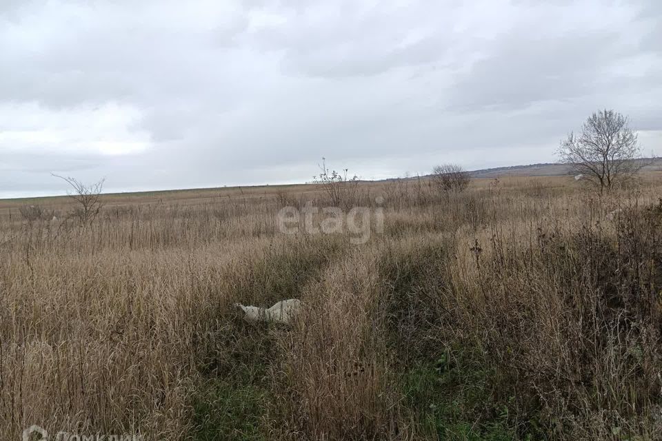 земля муниципальное образование Анапа, село Цибанобалка фото 2