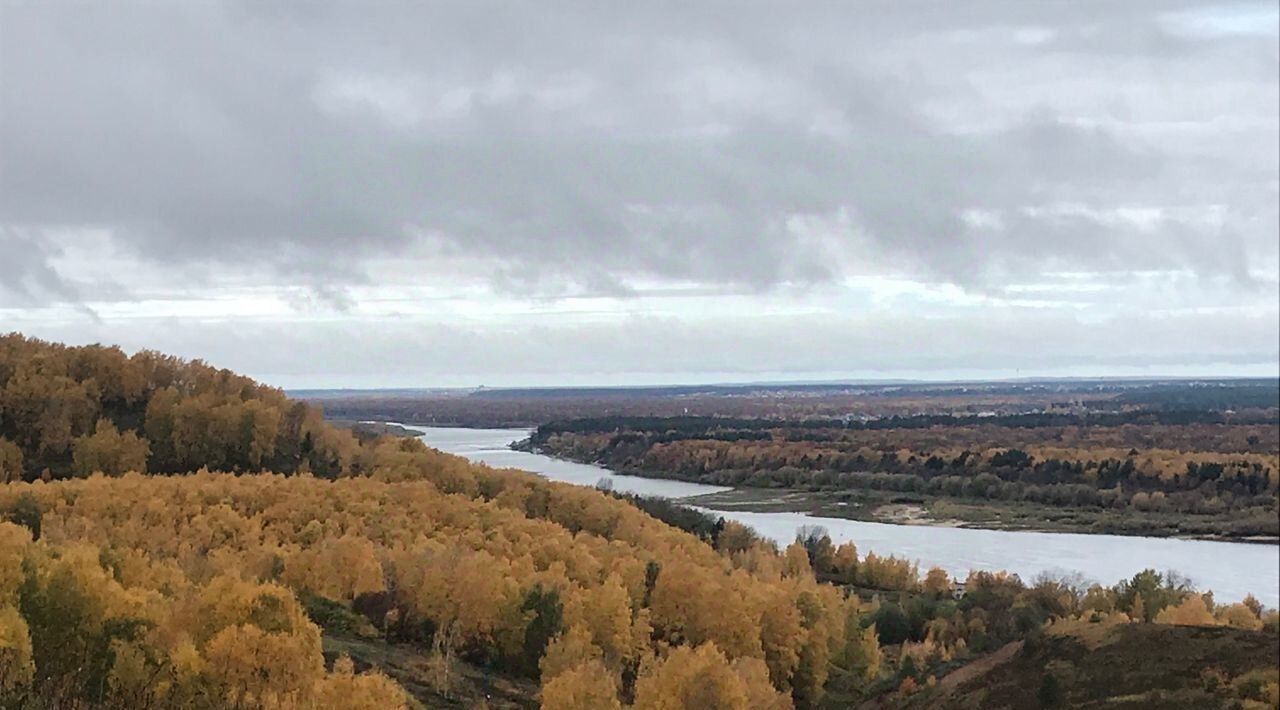 земля р-н Богородский д Хабарское фото 3