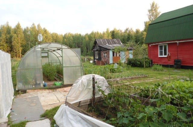 дом р-н Тосненский снт Факел Трубникоборское сельское поселение, 485, Новгородская область, Чудово, садоводческий массив Бабино фото 8