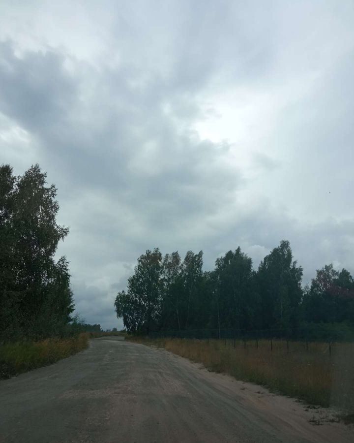 земля р-н Зеленодольский с Большие Кургузи ул Шаляпина Осиново фото 7