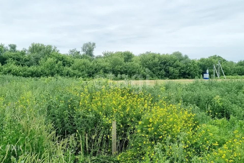 земля р-н Семилукский с Девица КП Поречье-2 фото 1