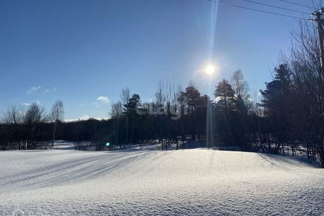 городской округ Верхняя Пышма фото