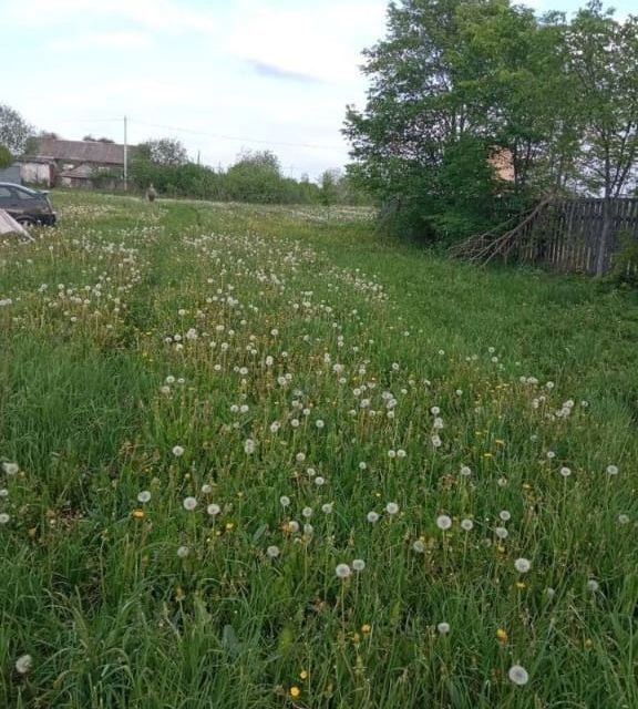 земля р-н Александровский деревня Новинки Елькинский сельский округ фото 2