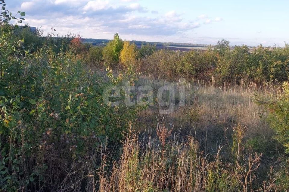 земля р-н Нижнедевицкий с Верхнее Турово ул Мира фото 6