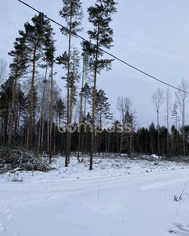 земля р-н Нижнетавдинский с Тюнево Тюмень фото 8