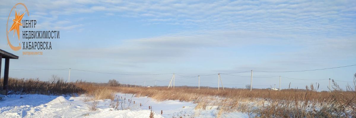 земля р-н Хабаровский с Гаровка-1 ул Березовая фото 4