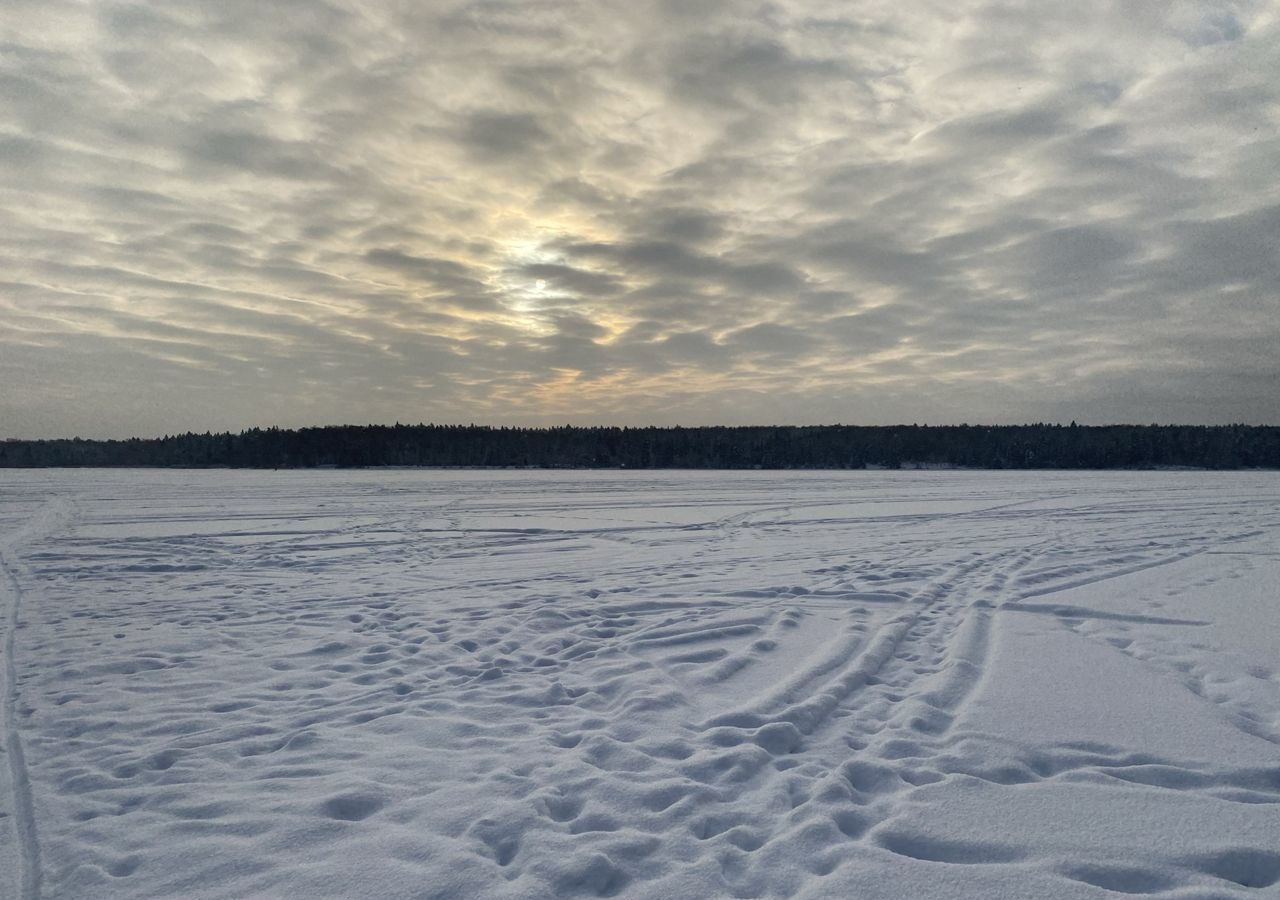 земля городской округ Мытищи с Марфино 18 км, Дмитровское шоссе фото 4