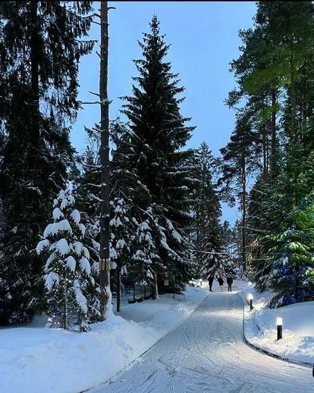 квартира р-н Всеволожский д Мистолово пр-д Спортивный 21 Бугровское городское поселение фото 22