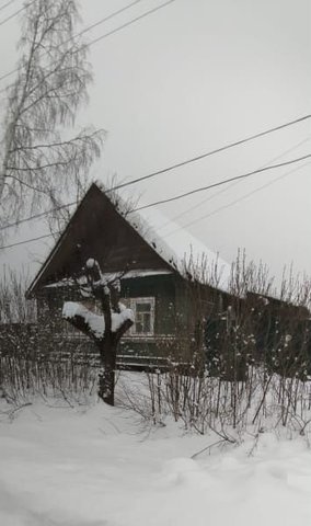 д Менюша Медведское сельское поселение, Шимск фото