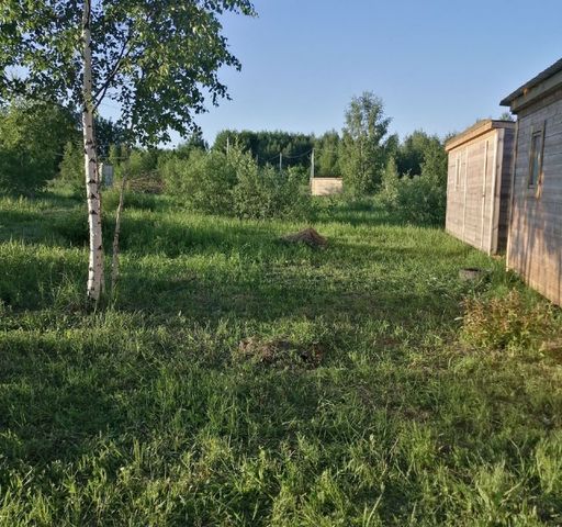 муниципальное образование Андреевское, Александров фото